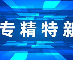 江蘇坤澤榮獲江蘇省專精特新小巨人企業(yè)稱號